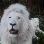 Sharon Hanes - @sharon.hanes.12 - Instagram