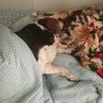 Sharon hanley - @sharon.hanley973 - Instagram