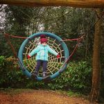 Sharon Hanley - @sharonnimhachain - Instagram