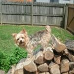 Sharon Hanley Holt - @sharonhanleyholt - Instagram