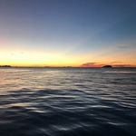Sharon Hanlon - @shazzahanlon - Instagram