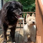 Sharon Harbour - @shargrl1 - Instagram