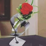 sharon sharder - @sharonsharder - Instagram