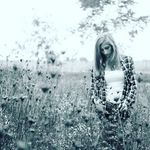 Sharon Hardison - @hardison98 - Instagram