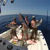 Sharon Hardison - @31036101690 - TikTok