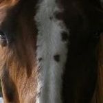 Sharon Hardman - @hardman9686 - Instagram