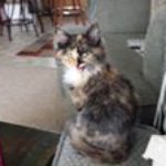 Sharon Hardman - @hardmansharon - Instagram