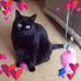 Sharon Hardman - Facebook