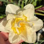Sharon Hardman - @menee1956 - Instagram