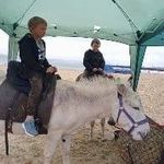 Sharon Harman - @sharon.harman.1485 - Instagram