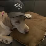 Sharon Harms - @sha.ron79 - Instagram