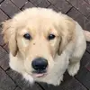 sharonharms05 - @sharonharms05 - TikTok