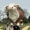 haroldsharonswans - @haroldsharonswans - TikTok