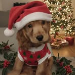 Sharon Harold - Facebook