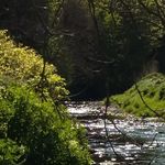 Sharon Haugh - @haugh228 - Instagram