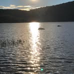 Sharon Haught - Facebook