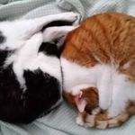 Sharon Hauser - @sharon.hauser.75 - Instagram