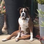 Sharon Hauserman - @sharonhauserman1 - Instagram