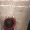 Sharon Hazan - @appleuser23479317 - TikTok
