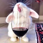 Sharon Hazard - @hazza2341 - Instagram