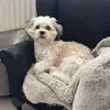 Sharon - @sharonhazelgrove - TikTok