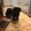 sharon.hazel - @sharon.hazel - TikTok