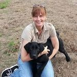 Sharon Heckman Costa - @scosta924 - Instagram
