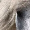Sharon Heckman - @sharon.heckman5 - TikTok