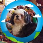 Sharyn Heckman - Facebook