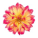 Sharon Hector - @fast_annie_64 - Instagram