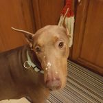 Sharon Hector Gonzales - @sharonhectorgonzales - Instagram