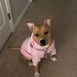 Sharon Hegarty - @sharonh6857 - Instagram