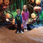 Sharon Heise - @nonnaheise - Instagram