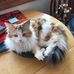 Sharon Heise - Facebook