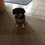 Sharon Heiser - @sharonrosie13 - Instagram
