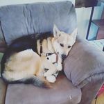 Sharon Held - @sharon.held.754365 - Instagram