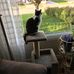 Sharon Helmer - Facebook