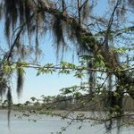 Sharon Baggett Hendrick - @shendrickcca - Instagram