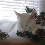 Sharon Hendrick - @sharon.hendrick.754 - Instagram