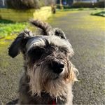 Sharon Hendry - @shendryuk2002 - Instagram