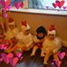 Sharon Herd - Facebook