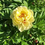 Sharon Heritage - @sharonlynne15 - Instagram
