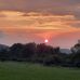 Sharon Herrick - Facebook