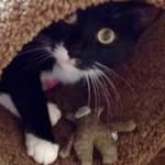 Sharon Herrick McGilvrey - @sharonherrickmcgilvrey - Instagram