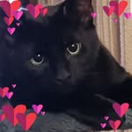 Sharon Hester - @shazh35 - Instagram