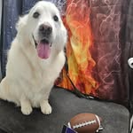 Sharon Hester - @hester.s - Instagram