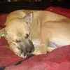 sharonhester68 - @sharonhester68 - TikTok