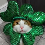Sharon Heuser - @magickgal13 - Instagram