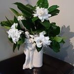Sharon Hiller - @sharonhopesevenoaks - Instagram