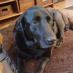 Sharon Hillier Grady - @hilliergrady - Instagram